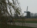 Volendam - vetern mlyn